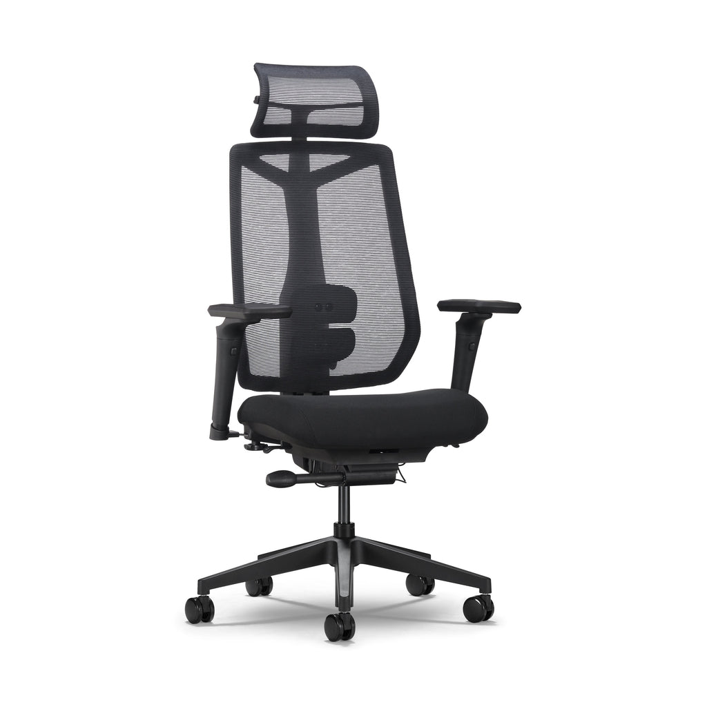 Black Ergonomic Chair 