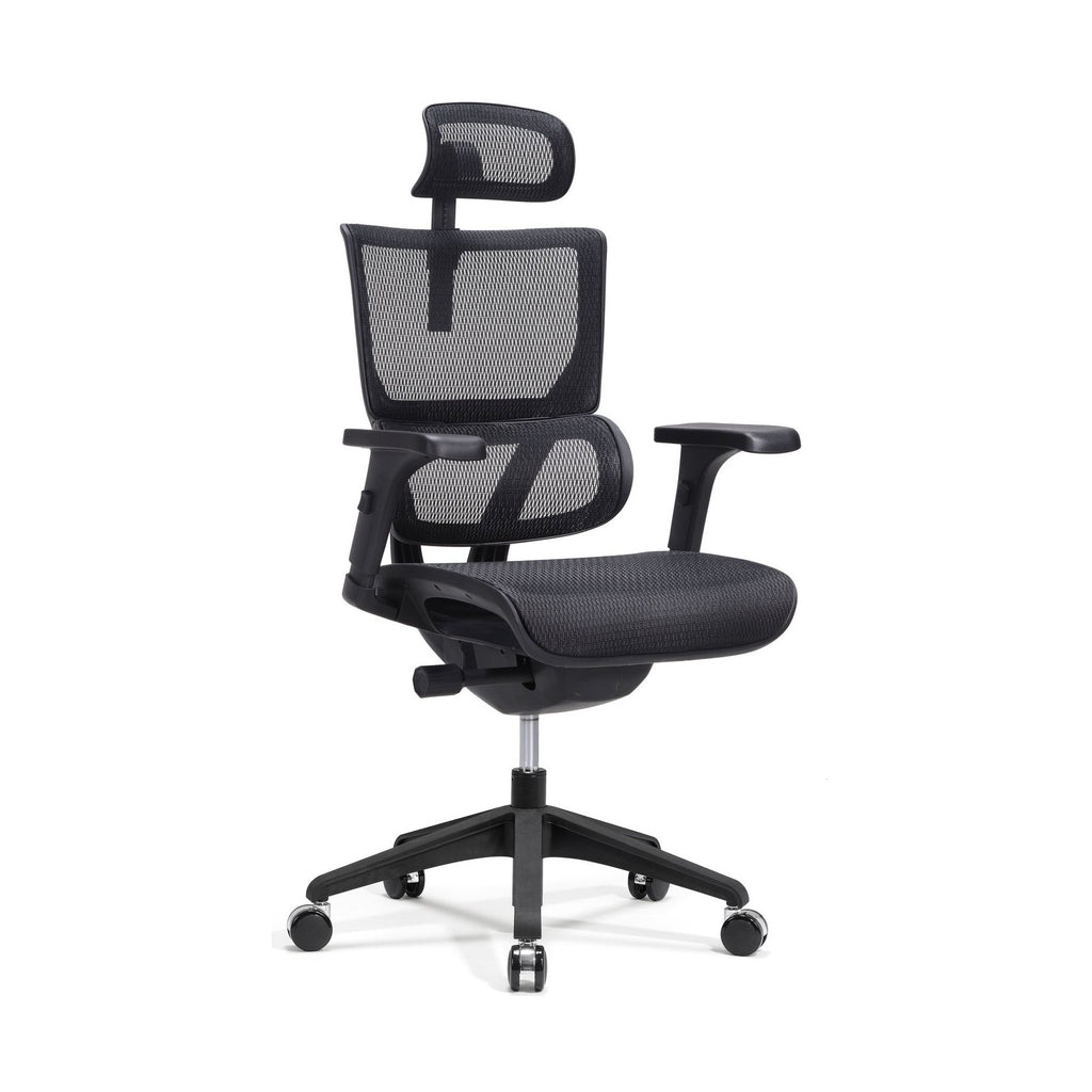 Black Ergonomic Chair 